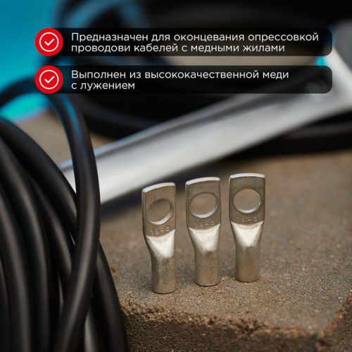 07-5311 Наконечник ТМЛ 16-8-6 Rexant  фото 2