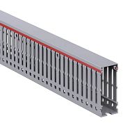 01166RL Кабель-канал перфорированный 25х60 L2000 RL6 G DKC 