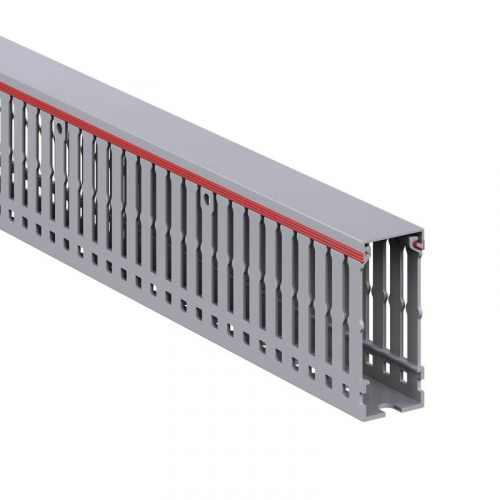 01166RL Кабель-канал перфорированный 25х60 L2000 RL6 G DKC 