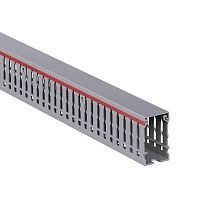 01163RL Кабель-канал перфорированный 25х40 L2000 RL6 G DKC 