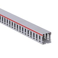 00134RL Кабель-канал перфорированный 40х40 L2000 RL12 G DKC 