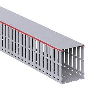 00170RL Кабель-канал перфорированный 80х100 L2000 RL12 G DKC 