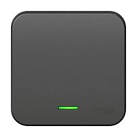 BLNVA101116 Выключатель 1-кл. ОП Blanca 10А IP20 (сх. 1) 250В с подсветкой с изолир. пластиной антрацит SE 