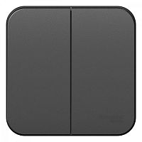 BLNVA105016 Выключатель 2-кл. ОП Blanca 10А IP20 (сх. 5) 250В с изолир. пластиной антрацит SE 