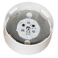 1030450316 Светильник ДББ "Спецсвет" 03-007-401 (316) LED 7Вт 5000К IP20 настенный/без стекла/корпус прямой АС220В (групп.упак.) Элетех 