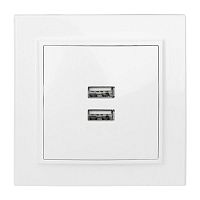 ERR-2USB-100 Розетка USB 2-м СП Минск 2.1А бел. EKF 