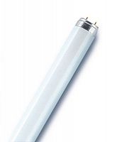 4058075692954 Лампа люминесцентная L 36W/830 LUMILUX 36Вт T8 3000К G13 смол. OSRAM 