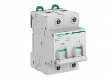 S9H32291 Выключатель автоматический 2п C 100А 10кА Systeme9 400В 27мм SE 