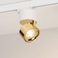 038100 Светильник SP-PLURIO-TRACK-4TR-R77-9W Day4000 WH-BRS 36 deg 230В 9Вт 4000К IP20 метал. Arlight 