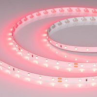 055374 Лента светодиодная RT-A60-8mm 24В Ruby 4.8Вт/м IP20 (уп.5м) Arlight 