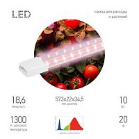 Б0066958 Светильник FITO-10W-Т5-PL-Slim-GR 10Вт линейный для растений роз. спектра GREEN LINE Эра 