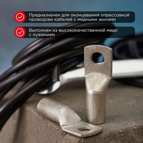 07-5328 Наконечник ТМЛ 95-12-15 Rexant  фото 2