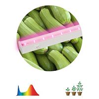 Б0028199 Светильник светодиодный LLED-05-T5-FITO-9W-W линейный ФИТО ЭРА 