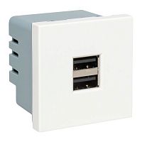E2MR2-20USB-10 Розетка USB сила тока 2.1А (2 гнезда) без индикатора EKF 
