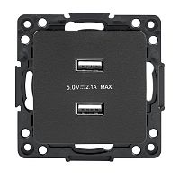EZR16-028-10-2USB Розетка USB 2-м Стокгольм 2.1А механизм черн. PROxima EKF 