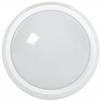 LDPO0-5071-28-6500-K01 Светильник светодиодный ДПО 5071 28Вт 6500К IP65 круг бел. IEK 
