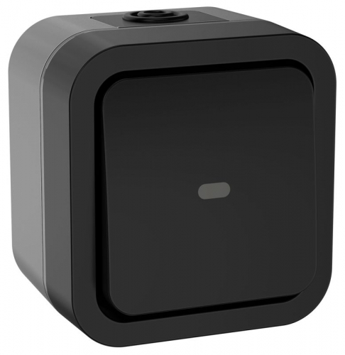 TS-V10-1-10-55-K53 Переключатель 1-кл. ОП TORS 10А IP55 TS102 с индикацией графит IEK 