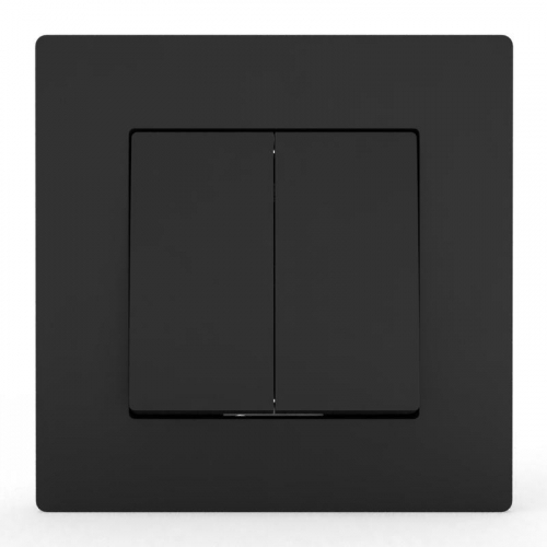 TKE-PX-V2F-C14 Выключатель 2-кл. СП Pixel 10А IP20 в сборе карбон TOKOV ELECTRIC  фото 2