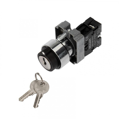 36-5552 Переключатель BD21 2P с замком NO Rexant 