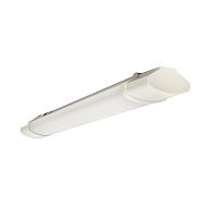 TPL-1002-18-6500 Светильник светодиодный ДСП-1002 18Вт 6500К IP65 600мм пылевлагозащ. PROxima EKF 