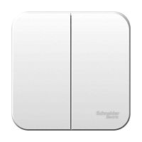 BLNVA065011 Выключатель 2-кл. ОП Blanca 6А IP20 (сх. 5) 250В с изолир. пластиной бел. SE 