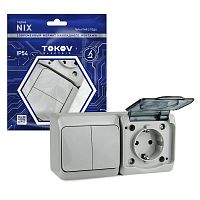 TKE-NX-V2RZ-C06T-IP54 Блок ОП Nix (розетка 16А 250В с заземл. + 2-кл. выкл. 10А) IP54 сер. TOKOV ELECTRIC 