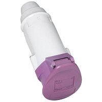 055231 Розетка мобильная P17 2P 16А 24В IP44 Leg 