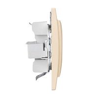 ERK00-135-20 Розетка компьютерная + телефонная 2-м СП Минск RJ45 + Phone беж. EKF 