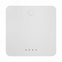 Powerswitch-ZGW Шлюз ZigBee Sibling  00-00003008