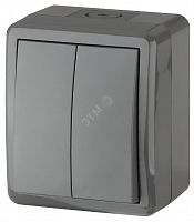 Б0020676 Выключатель двухклавишный наружный (открытой установки) IP54 серый 10А 250В винтовые зажимы ЭРА Эксперт 11-1404-03