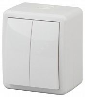Б0020675 Выключатель двухклавишный наружный (открытой установки) IP54 белый 10А 250В винтовые зажимы ЭРА Эксперт 11-1404-01 