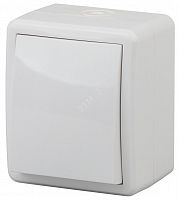 Б0020669 Выключатель одноклавишный наружный (открытой установки) IP54 белый 10А 250В винтовые зажимы ЭРА Эксперт 11-1401-01