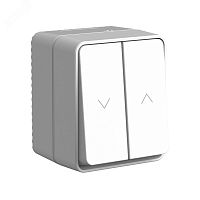 ATN543019 Выключатель для жалюзи 2-кл. ОП AtlasDesign PROFI 10А IP54 сер. SE 