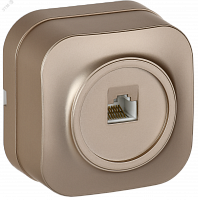 EKH10-K37M Розетка компьютерная ОП RJ45 кат.5E GLORY РК10-ХШм шампань матов. IEK 