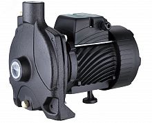 TCP170 "Насос поверхностный PUMPMAN (1100Вт, Hmax-38м, Qmax-7,5м3/ч, всас 8м)" Pumpman 00000000363