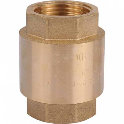 SVC-0012-000025 Клапан обратный пружинный муфтовый 1' с пластиковым седлом STOUT  RG008T8CKQH3T9