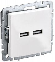 BR-U21-D31-K01 Розетка BRITE USB A+A 3.1А РЮ10-1-БрБ механизм бел. IEK 