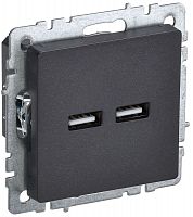 BR-U21-D31-K02 Розетка BRITE USB A+A 3.1А РЮ10-1-БрЧ механизм черн. IEK 