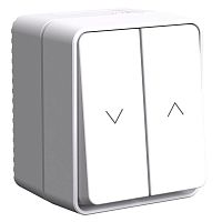 ATN540119 Выключатель для жалюзи 2-кл. ОП AtlasDesign PROFI 10А IP54 бел. SE 
