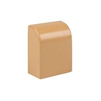 ecl-20-10x4 Заглушка 20х10 под свет. дерево Plast PROxima (уп.4шт) EKF 