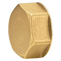 R594Y004 Пробка для коллектора Giacomini 1", 