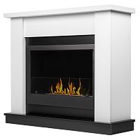 set BFP/P-2520 + Canto 25 W Каминокомплект: Биокамин Firelight BFP/P-2520, портал Canto 25 белый